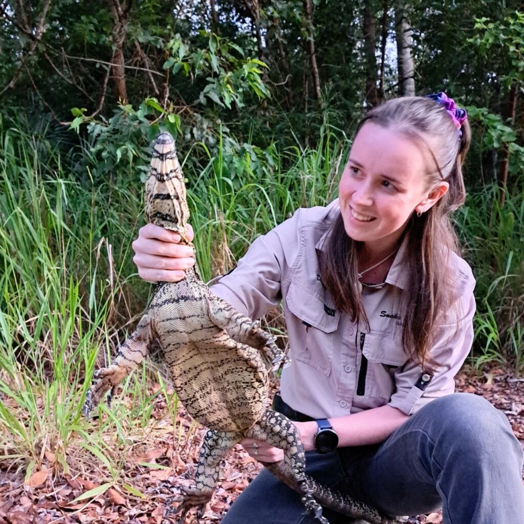 Snake Catcher Sunshine Coast Call Outs 99* Snake Rescue